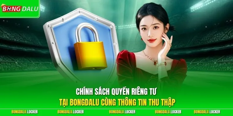 Chính sách quyền riêng tư tại BONGDALU cùng thông tin thu thập