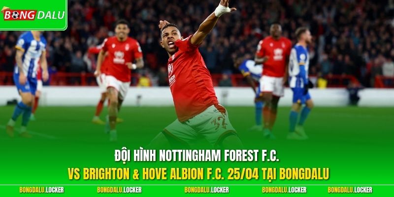 Đội hình Nottingham Forest F.C. vs Brighton & Hove Albion F.C. 25/04 tại BONGDALU