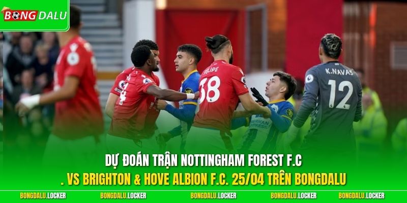 Dự đoán trận Nottingham Forest FC vs Brighton Hove Albion FC 25/04 trên BONGDALU