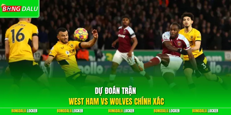 Dự đoán trận West Ham vs Wolves chính xác
