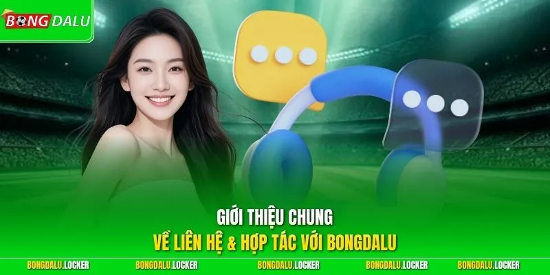 Giới thiệu chung về liên hệ & hợp tác với BONGDALU