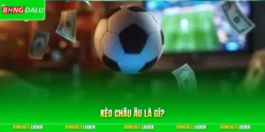 Kèo Châu Âu Là Gì? Cách Đọc Tỷ Lệ 1×2 Cho Người Mới Bắt Đầu