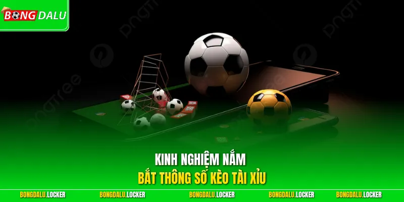 Kinh nghiệm nắm bắt thông số kèo tài xỉu
