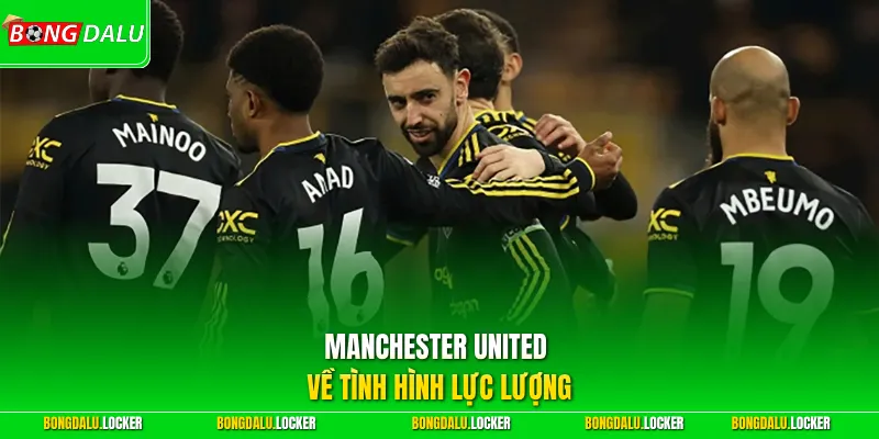 Manchester United về tình hình lực lượng 