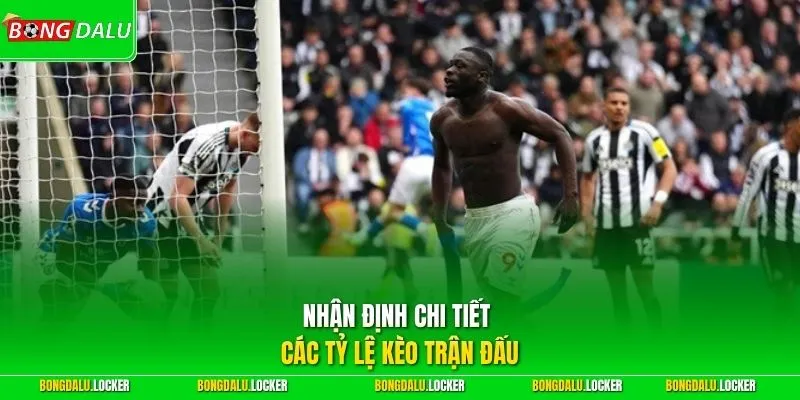 Nhận định chi tiết các tỷ lệ kèo trận đấu