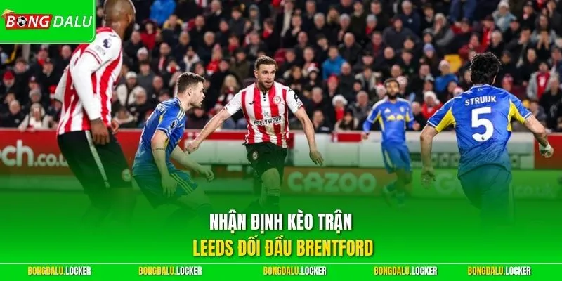 Nhận định kèo trận Leeds đối đầu Brentford