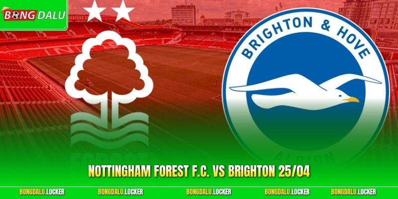 Nottingham Forest F.C. vs Brighton & Hove Albion F.C. 25/04