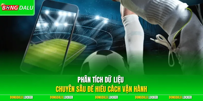 Phân tích dữ liệu chuyên sâu để hiểu cách vận hành