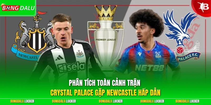 Phân tích toàn cảnh trận Crystal Palace gặp Newcastle hấp dẫn