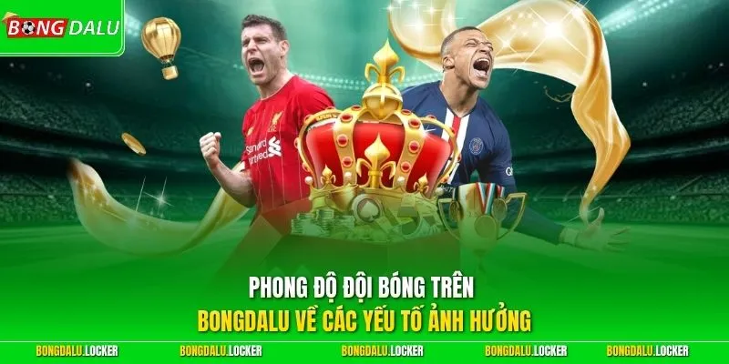 Phong độ đội bóng trên BONGDALU về các yếu tố ảnh hưởng