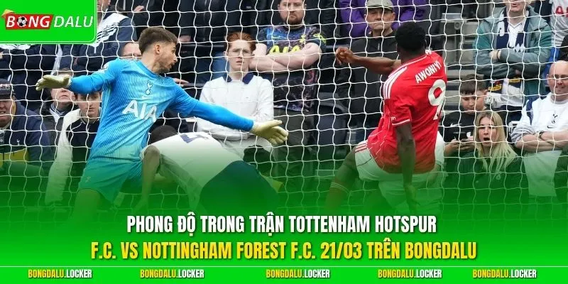 Phong độ trong trận Tottenham Hotspur F.C. vs Nottingham Forest F.C. 21/03 trên BONGDALU