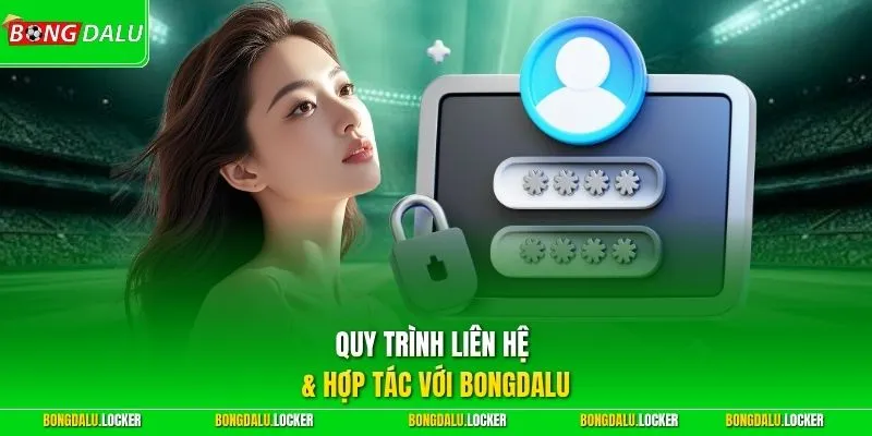 Quy trình liên hệ & hợp tác với BONGDALU