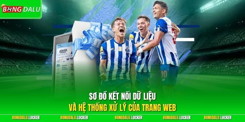 Sơ đồ kết nối dữ liệu và hệ thống xử lý của trang web