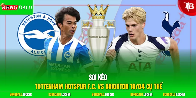Soi kèo Tottenham Hotspur F.C. vs Brighton 18/04 cụ thể
