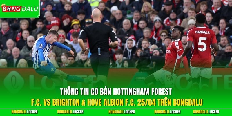Thông tin cơ bản Nottingham Forest F.C. vs Brighton & Hove Albion F.C. 25/04 trên BONGDALU