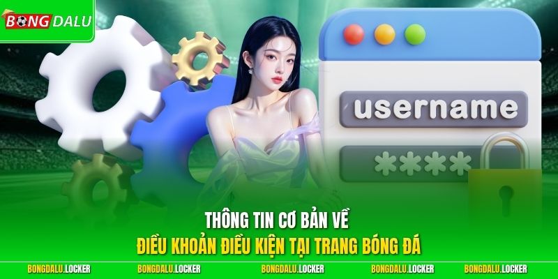 Thông tin cơ bản về điều khoản điều kiện tại trang bóng đá